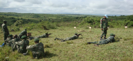 FARDC