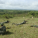 RDC : Les rebelles du M23 confisquent deux localités au Nord Kivu