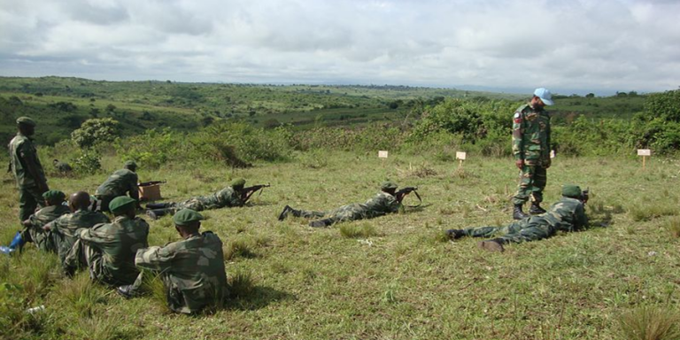 FARDC