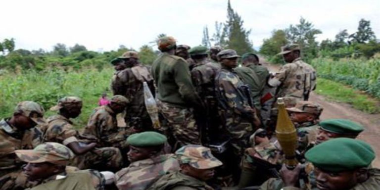 combattants rebelles route