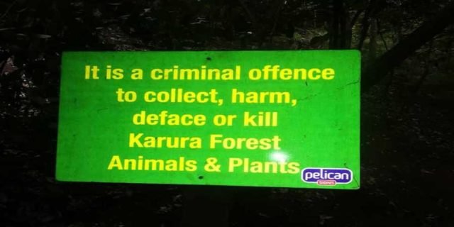 Karura Forest