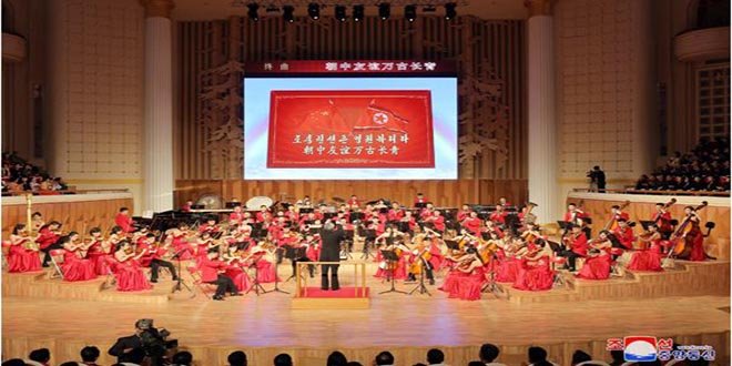 spectacle en l’honneur de la délégation -