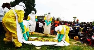ebola -riposte