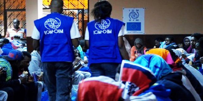 Organisation Internationale de Migration (OIM)