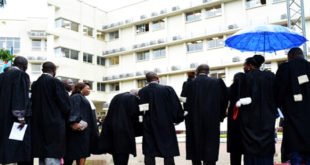 avocats- palais de la justice - kinshasa cour constitutionnelle