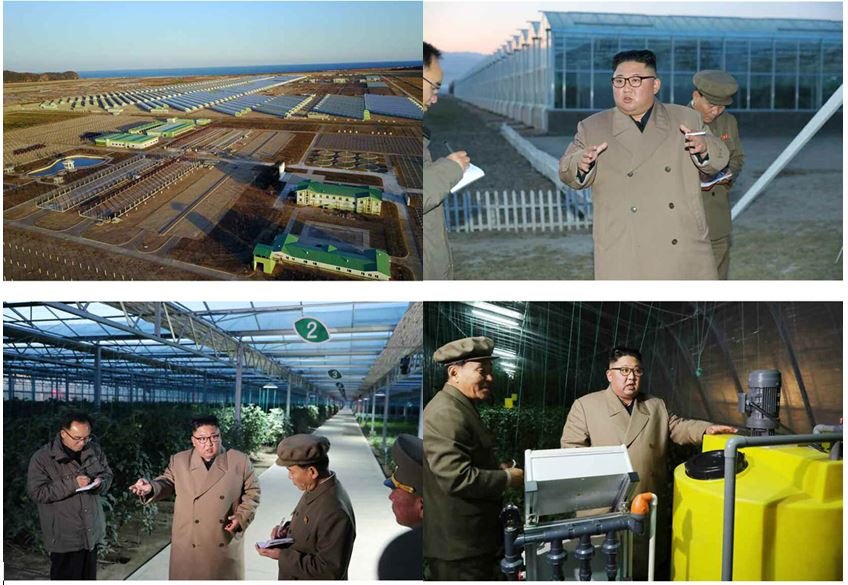 KIM JONG UN aux chantiers d’une ferme de culture maraîchère en serre et d’une pépinière