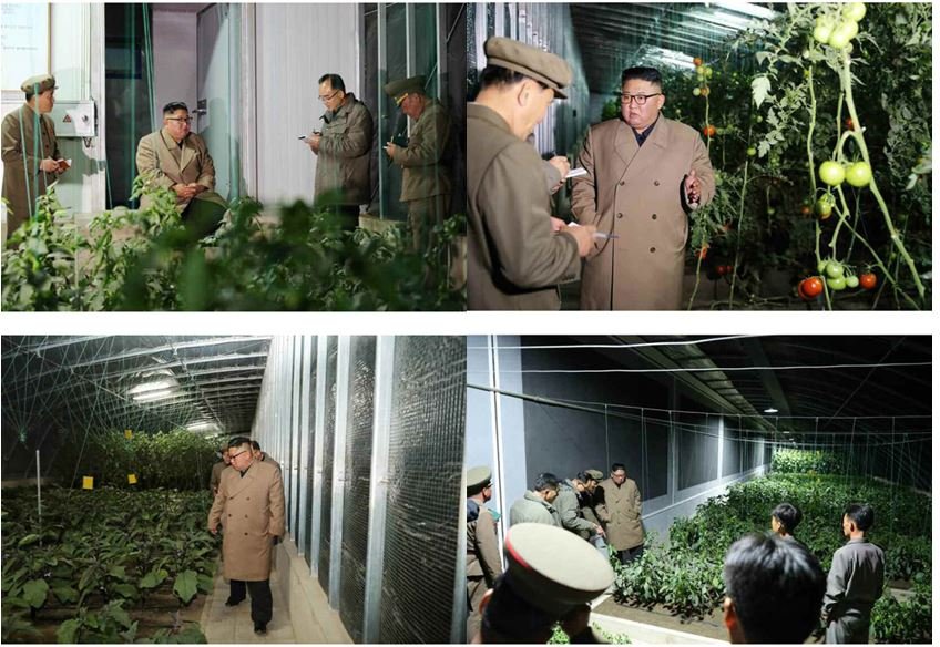 KIM JONG UN aux chantiers d’une ferme de culture maraîchère en serre et d’une pépinière