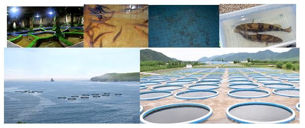 1 - On porte de gros efforts sur la protection des ressources aquatiques -
