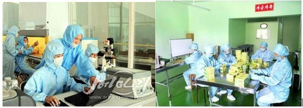 RPDC; la production d’icaritin