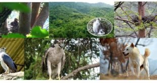 RPDC; pour la protection des animaux utiles -