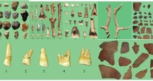 1) La découverte de nouveau site archéologique primitif (grotte)