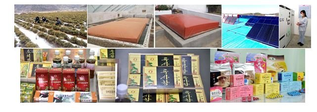 1 - Pour tirer profit des ressources régionales