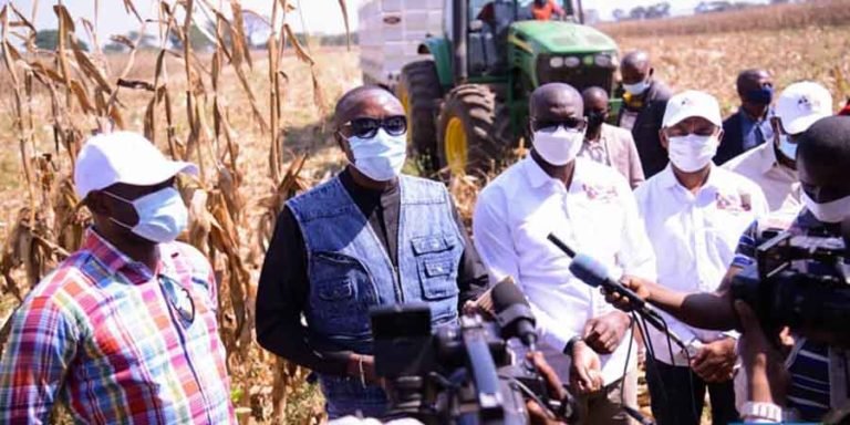 Jacques kyabulwa a lancé symboliquement le début récolte à la ferme de Mangombo