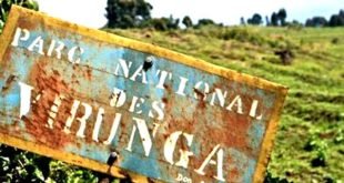 Parc National des virunga