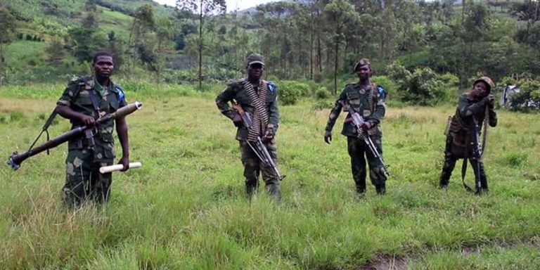 FARDC