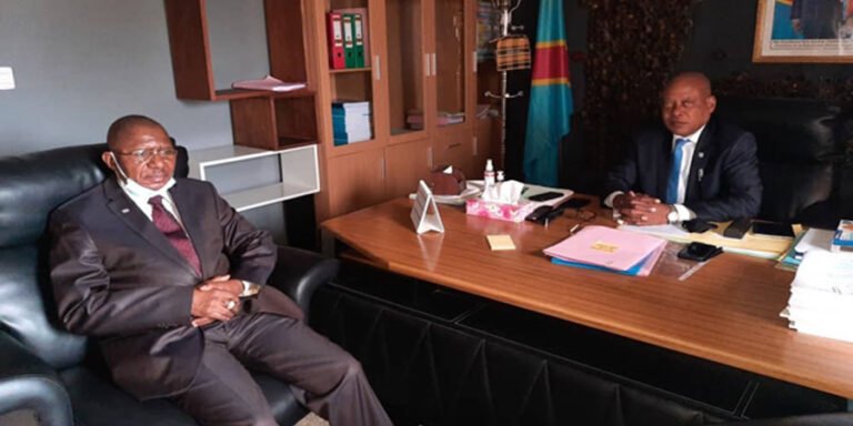 Le député honoraire Charly Wenga reçu en audience chez le ministre des actions humanitaires et de la solidarité nationale, Steve Mbikayi pour plaider la cause des familles touchées