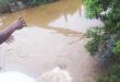 Rivière N'djili à Kinshasa
