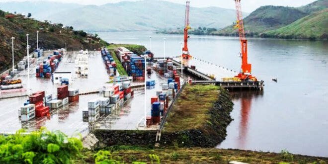 RDC : Des poissons  chinchards  en provenance de la Namibie arrivent à Kinshasa