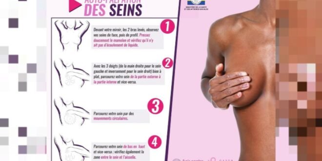Journée internationale du cancer du sein : Le dépistage précoce, l'une des méthodes qui sauve