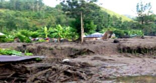 RDC : Une pluie torrentielle fait des morts et dégâts matériels au village Bushushu au Sud-Kivu