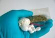 La consommation mondiale de drogue atteint un niveau record