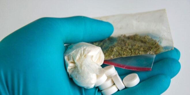 La consommation mondiale de drogue atteint un niveau record