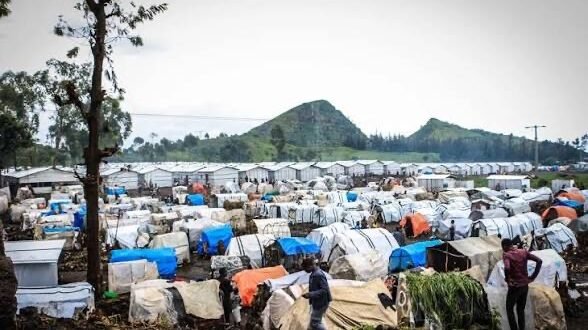 PPI condamne les attaques, enlèvements et actes de harcèlement contre le personnel humanitaire au Nord-Kivu, Sud-Kivu et Ituri